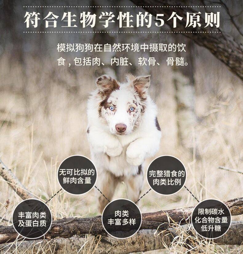 拉布拉多主人的劝诫，双十一轻松囤放心宠粮