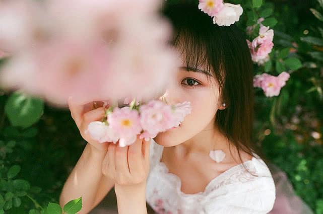 满架蔷薇一院香，开到荼靡花事了