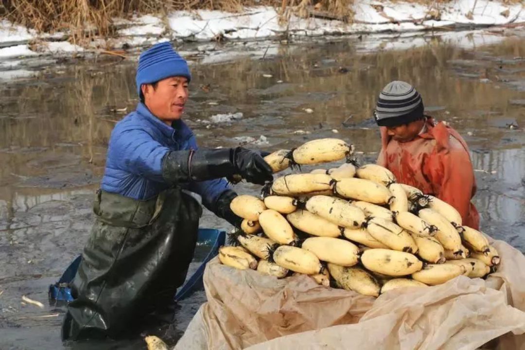 赚钱最有效率的行业,一个月赚10万的赚钱行业有哪些