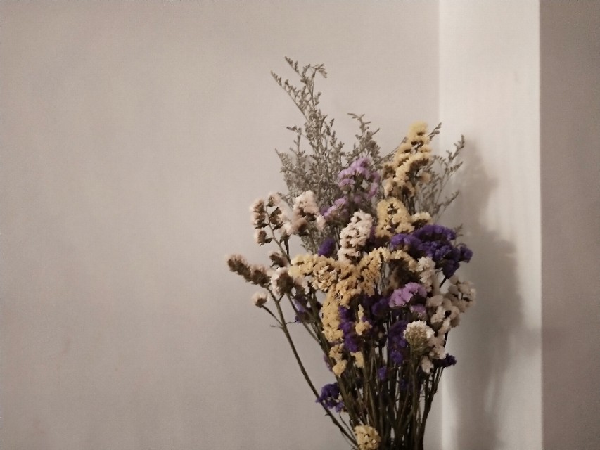 我为什么不建议大学生去打暑假工?