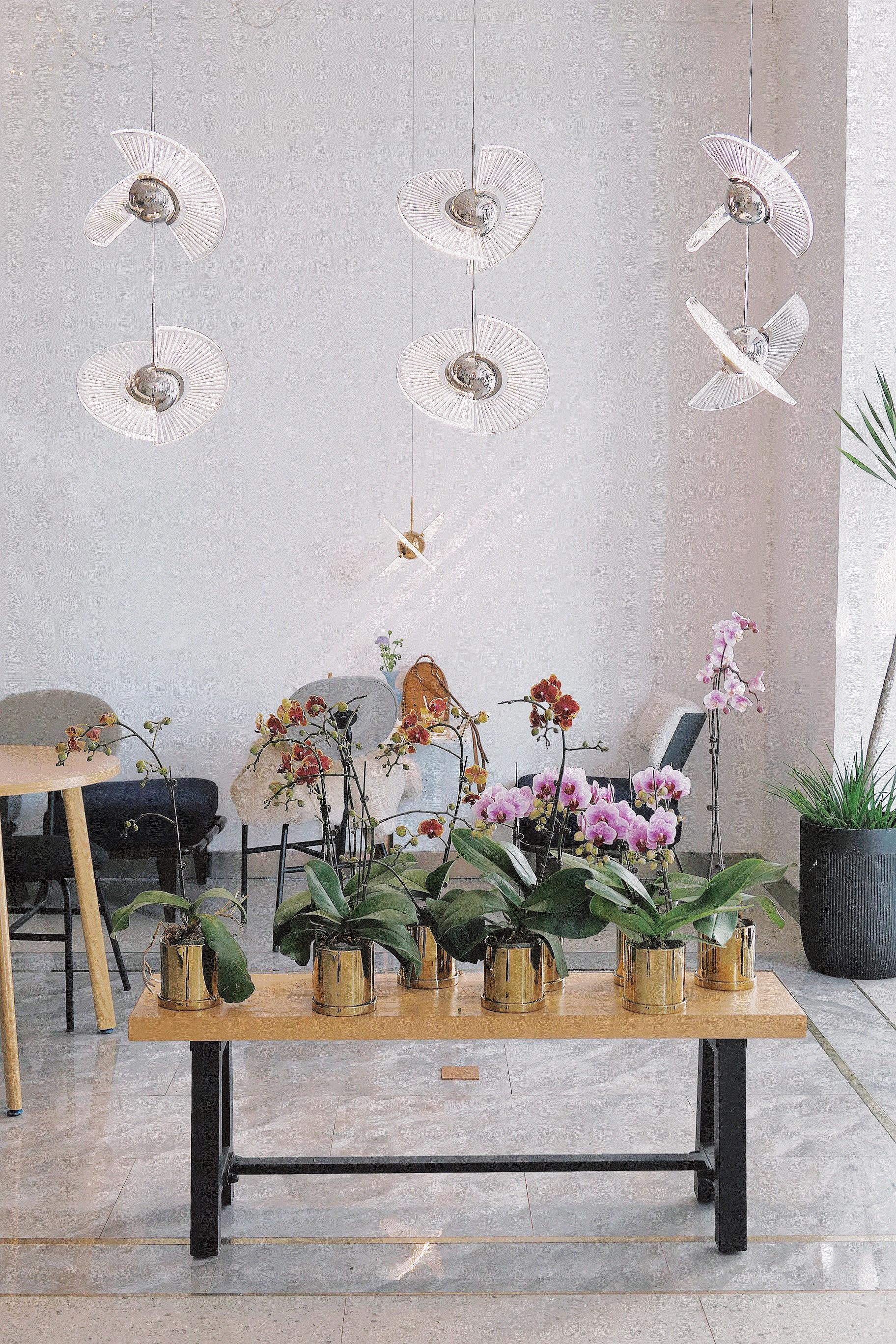 这两家童话般的“魔法蛋糕店”，也太香了吧