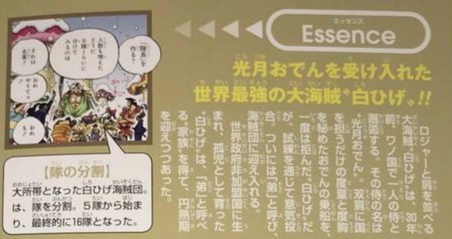 海贼王黑胡子最新情报,海贼王白胡子跟罗杰的最强之战