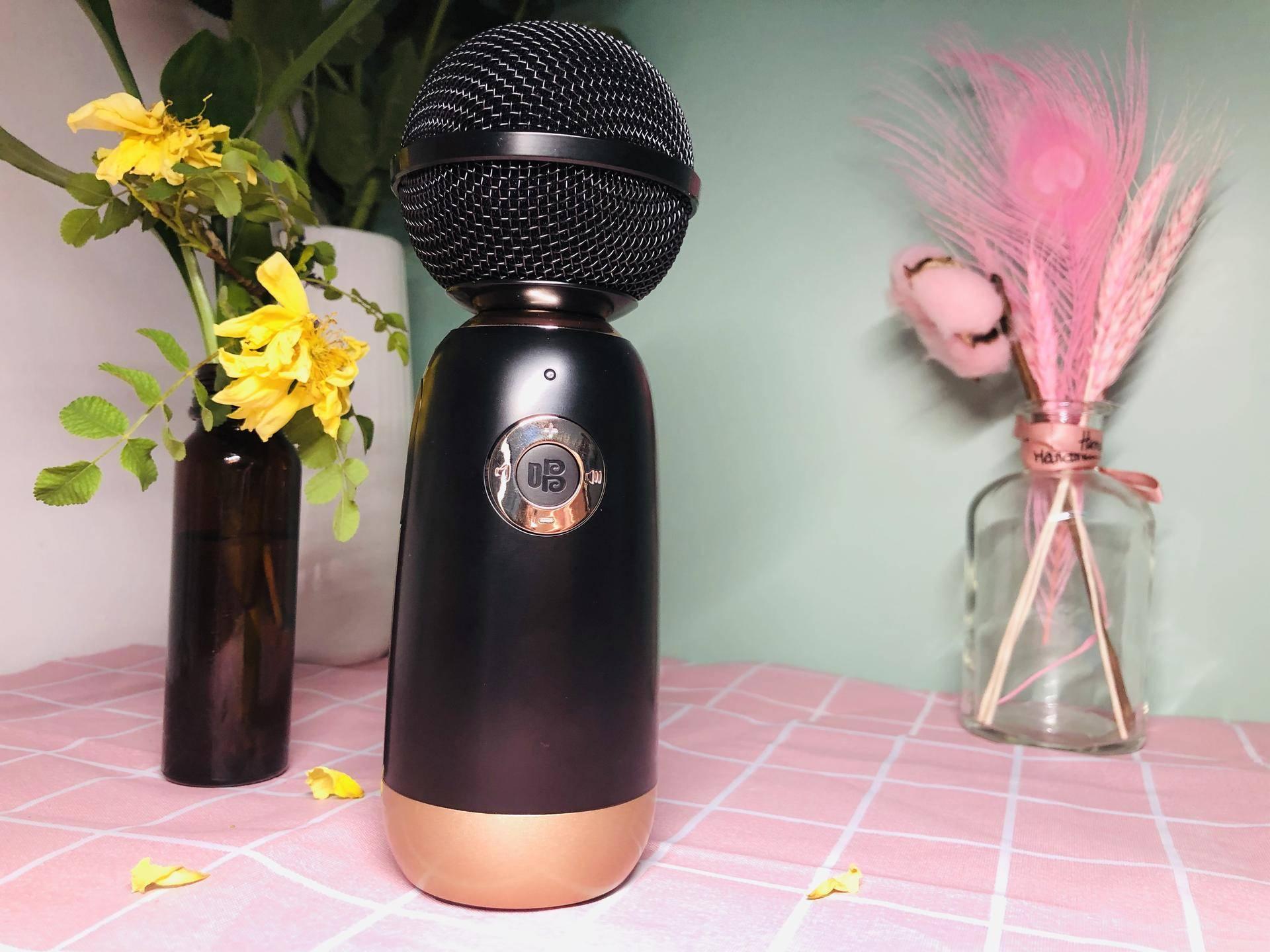 家用k歌麦克风李佳琦,李佳琦直播唱吧麦克风