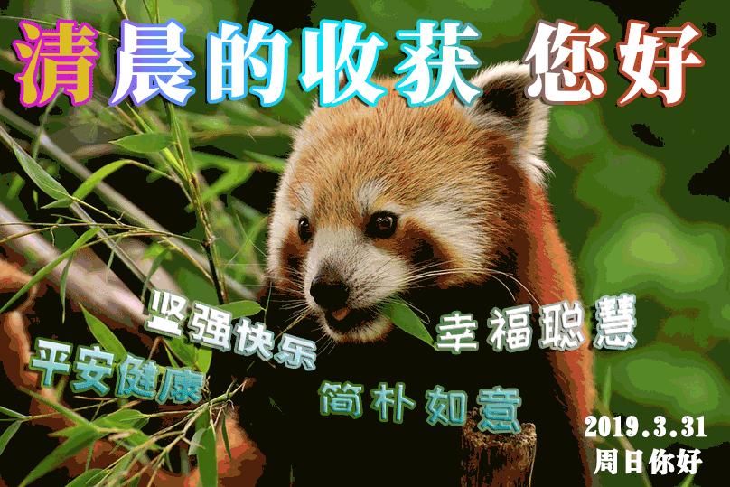 眼光决定了你的幸福,别把眼光停留在想象中