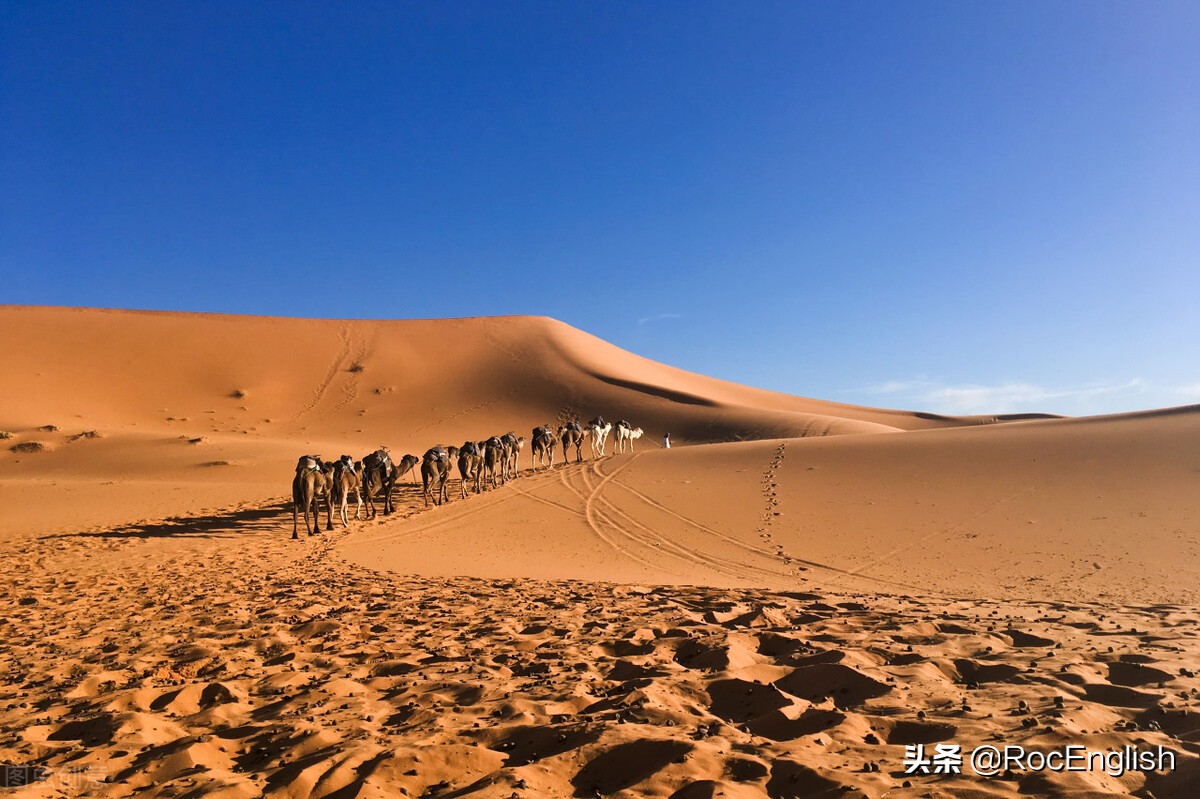 名字前不加不定冠词,一般情况下名字前面都要加冠词吗