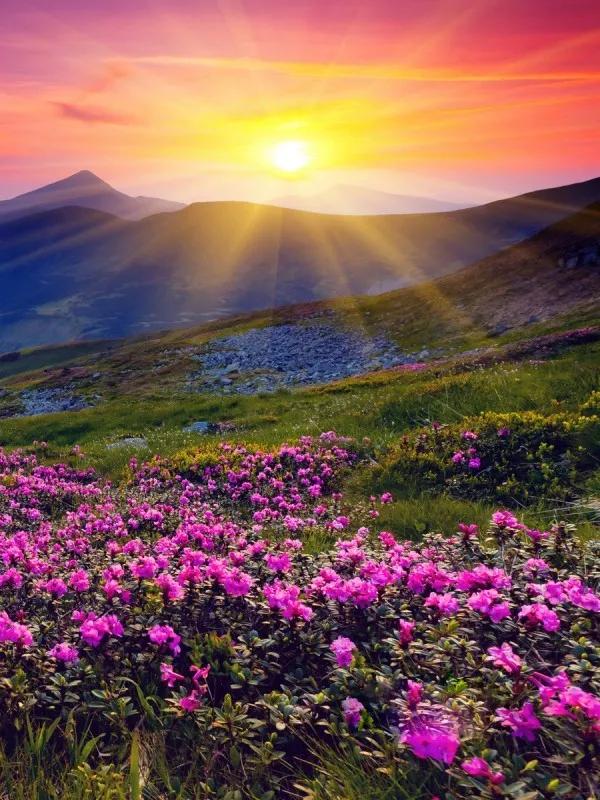 大龄单身女性如何养老,单身人士如何养老