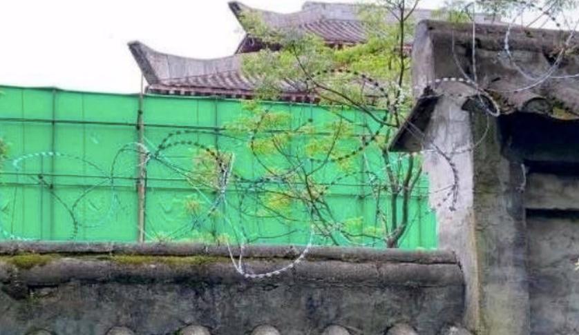 杨幂被偷包的影视剧,杨幂被偷拍的照片