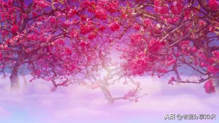 初一语文常见易错字词,初中语文易写错字词大全