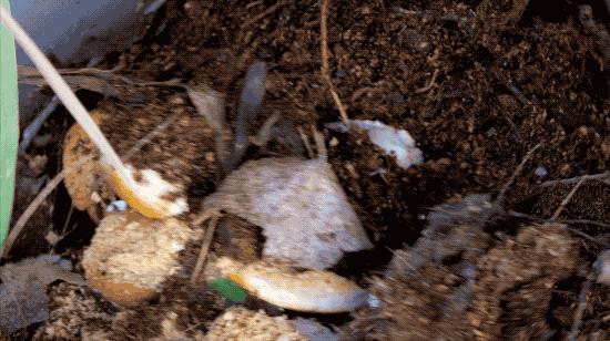 一对夫妻的零浪费生活,自制牙膏洗发水