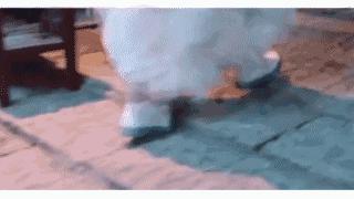 春季不能错过的三双鞋,冬天最值得买的4双鞋超实穿