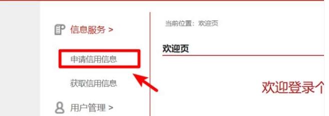 征信官网查的征信报告是详细版吗,免费征信查询怎么查征信报告