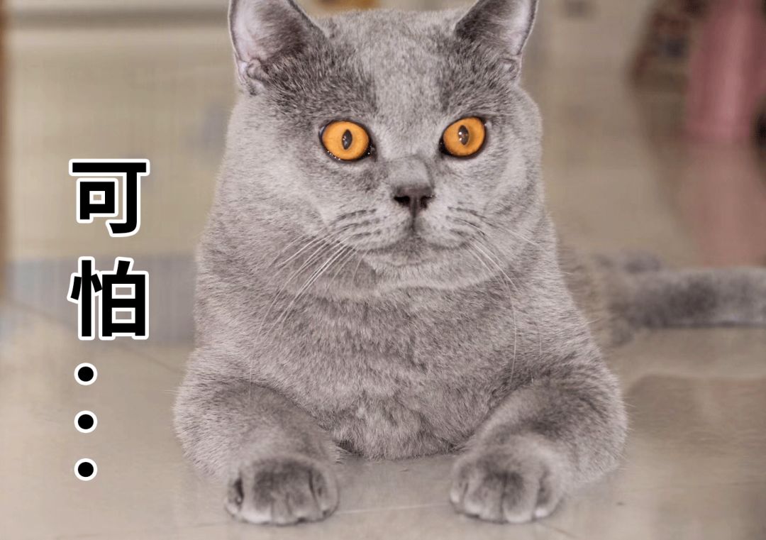 叶檀股票大讲堂,叶檀股票投资思维