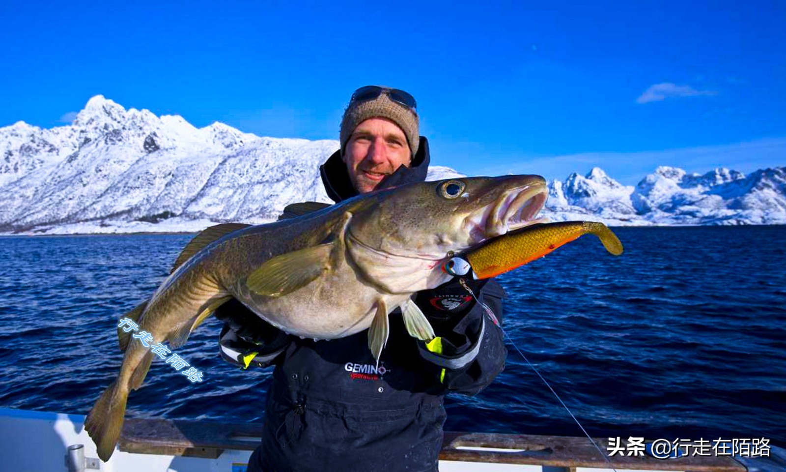 砸锅卖铁上一句,砸锅卖铁也要供你上学的励志语录