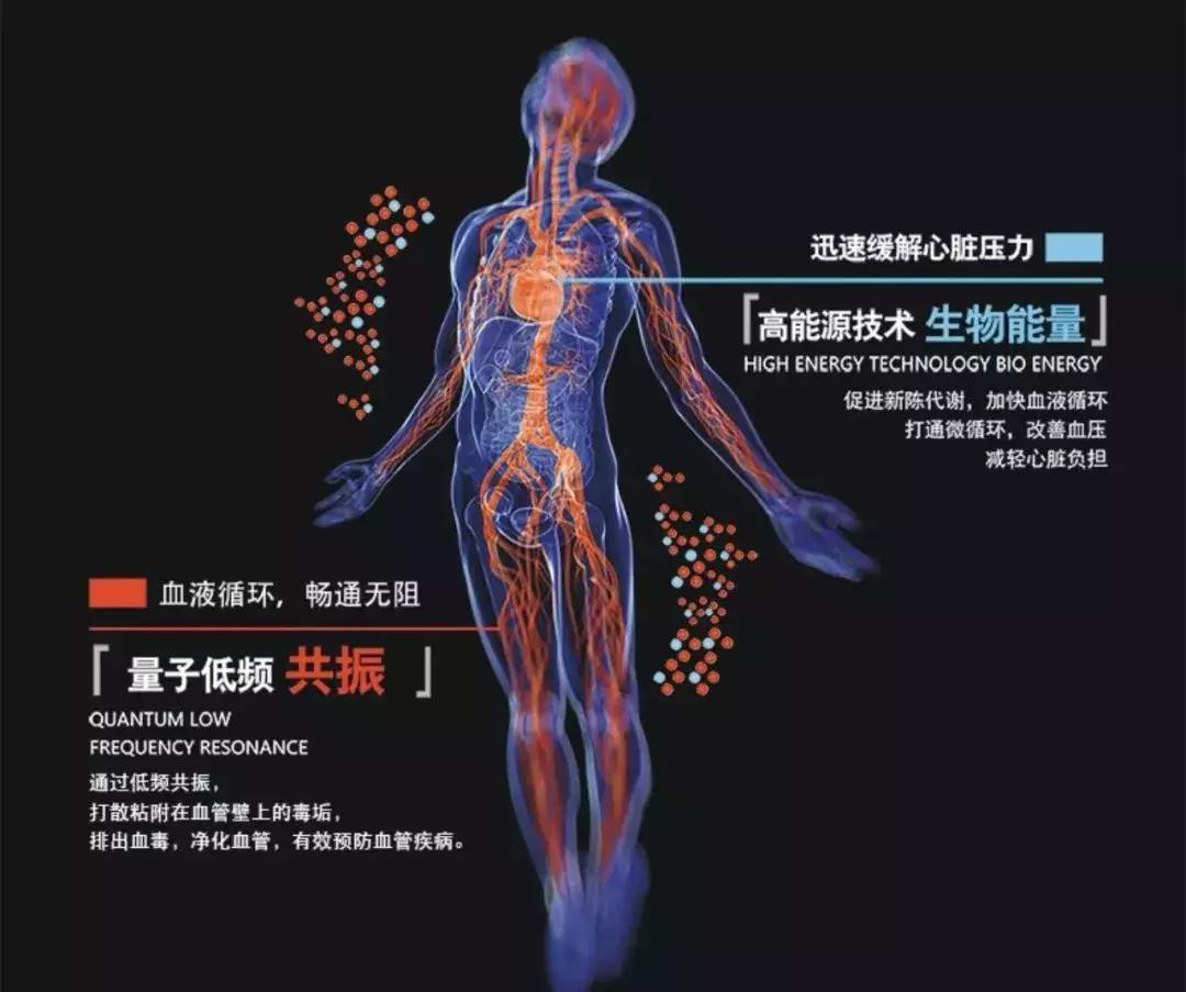 三域中盛，高频布朗科技能量产品全球企业火热加盟中