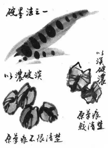 写意花鸟配景石的画法,干货写意花鸟类的画法