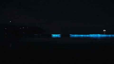 浙江景点花鸟岛,浙江风景花鸟岛