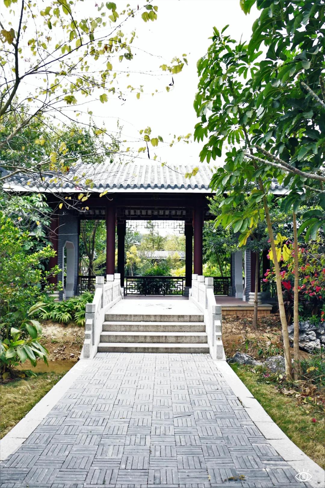 深圳哪个地方有玻璃桥,深圳玻璃桥免费开放吗