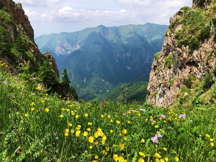 小五台山景区游玩攻略,小五台山快乐一日游
