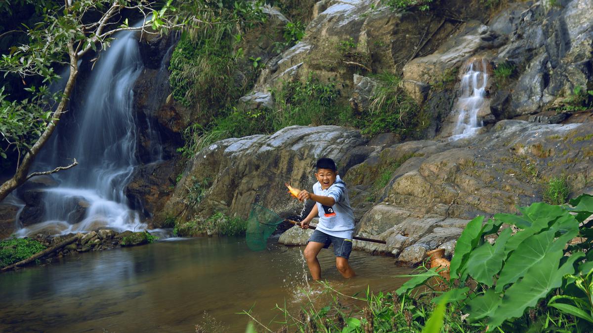 从村里低保户到月入50万,低保户背后的故事