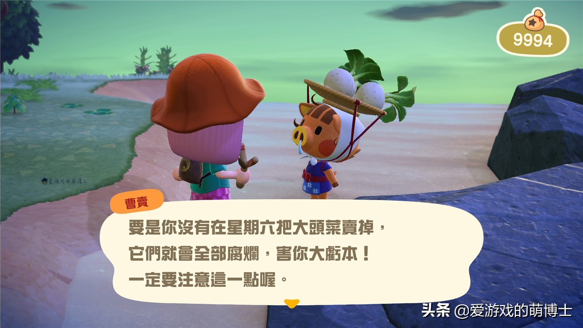 买大头菜赚大钱，《集合啦！动物森友会》里还有“炒股”小游戏