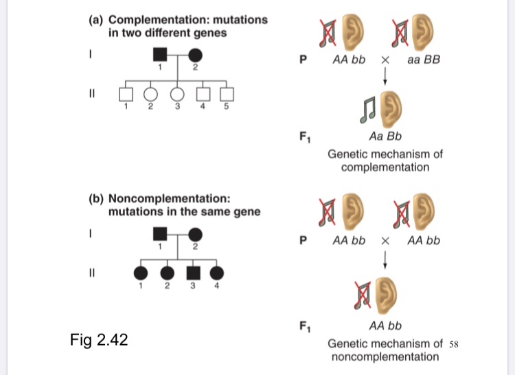 不拉踩、打榜、反黑也可以上位么？