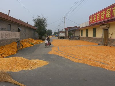 晒干的粮食正确储存方式,刚收获的粮食必须晒干后才能储藏