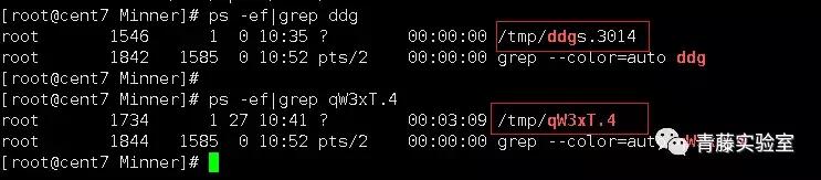苹果挖矿木马如何查杀,如何检测是否有木马挖矿