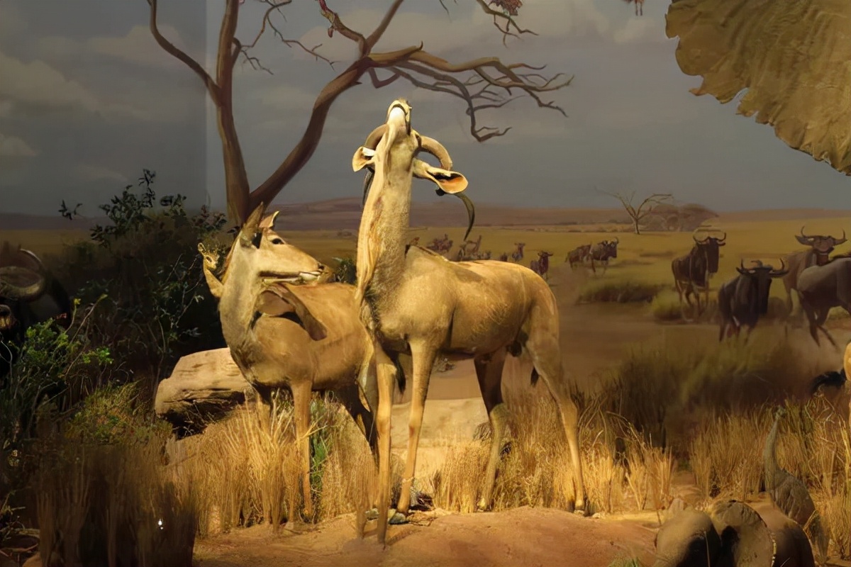 济南亲子遛娃景点排行榜夏季,济南槐荫区遛娃好去处很近的