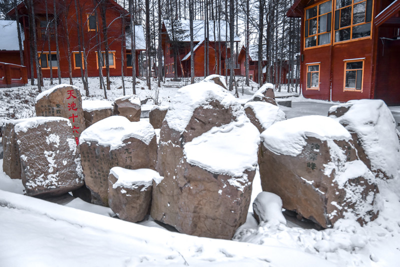 冰雪总动员简介,冰雪总动员
