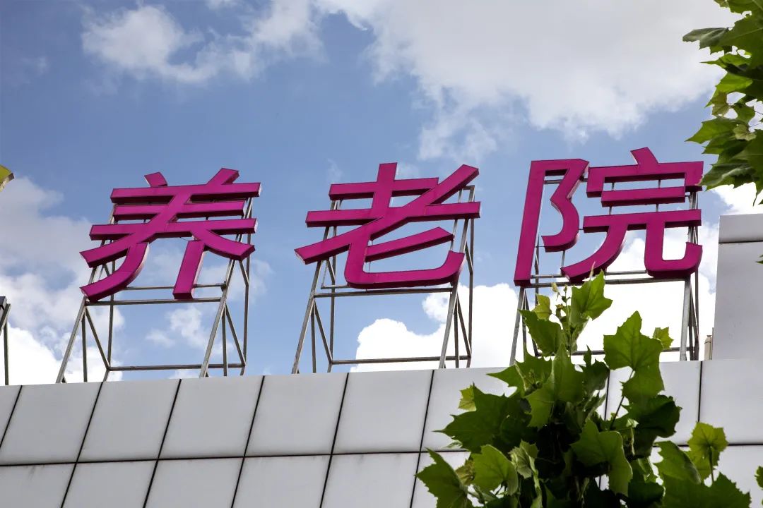 丁克为什么晚年孤独,丁克老了的感悟