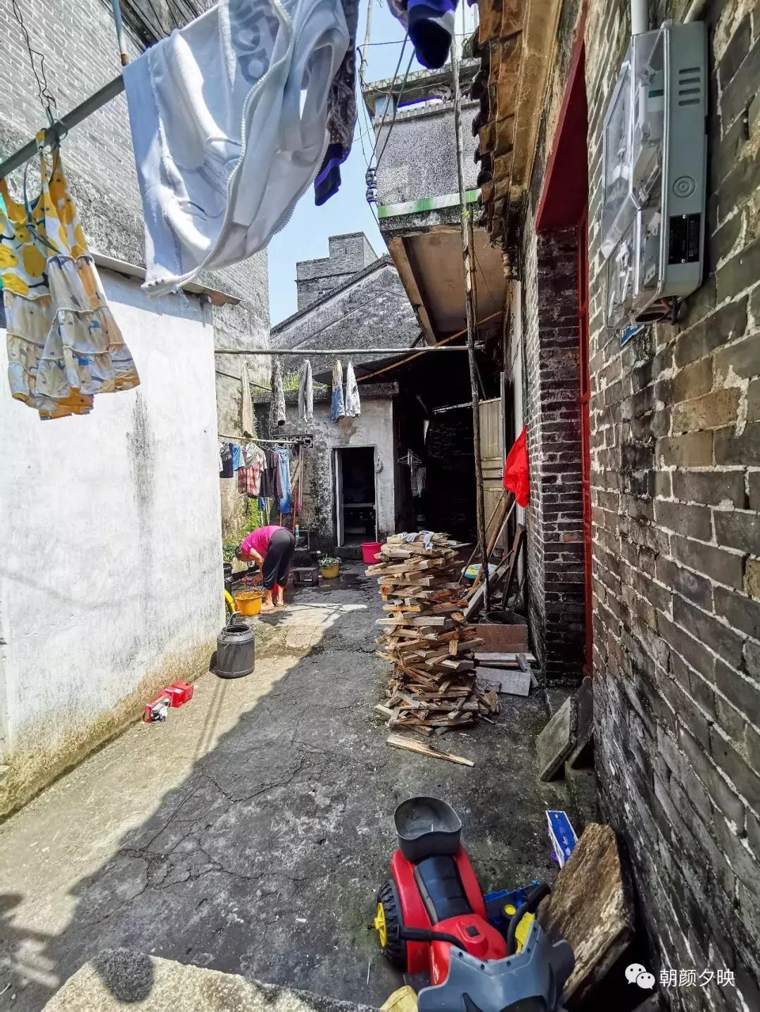 岐阳梧桐起凤环，鹭兮鹭兮寻不见（上）