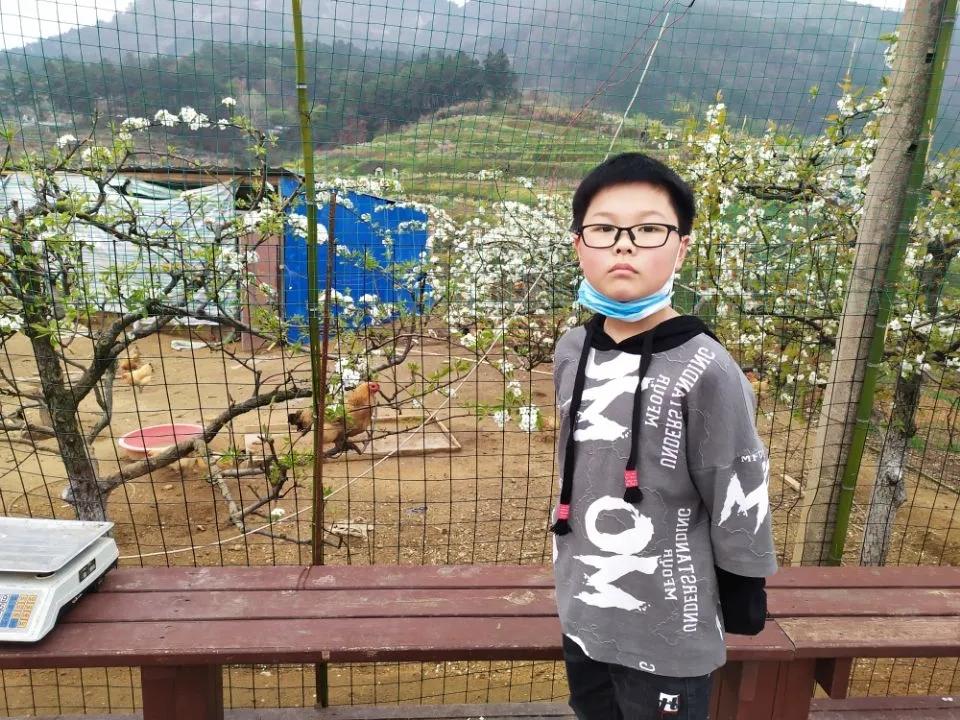 四年级语文下册第五单元游记范文,四下第五单元游记思维导图