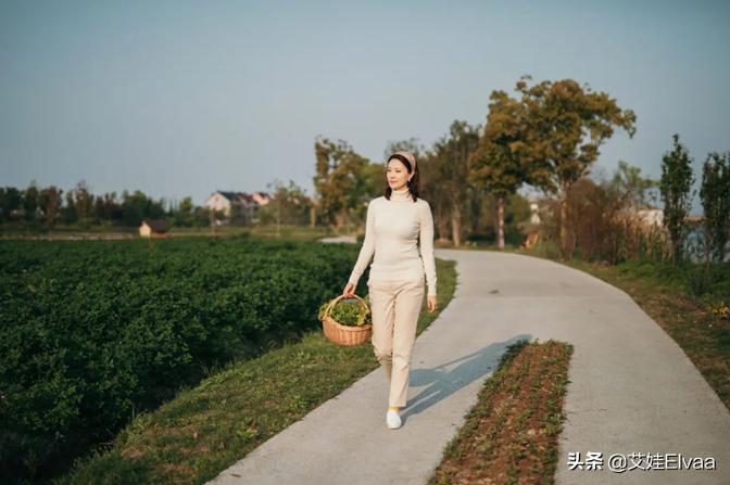 刘芳菲最迷人的照片,央视女主持刘芳菲图片