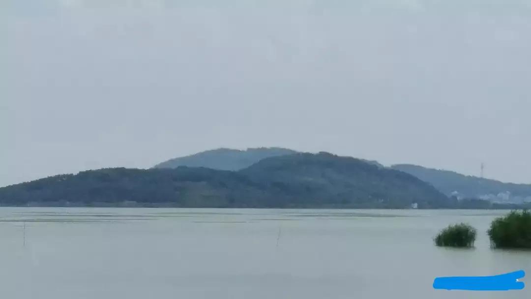 瑗垮北閲戝涵闆嗗競,鑻忓窞瑗垮北鍒閲戝涵涔愬簻