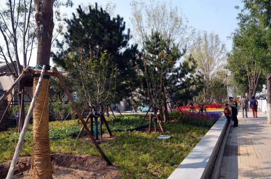 3400平方米蜡烛园亮相，珠市口西大街“颜值”升级