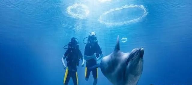 世界第八大洲是垃圾堆成的山吗,世界上的第八大洲是不是正在形成