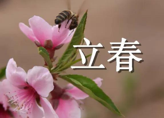 立春的具体时间是如何确定的,立春将至别忘了吃6道立春菜