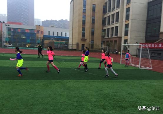 翱翔——风雨中顽执地撑起一道彩虹