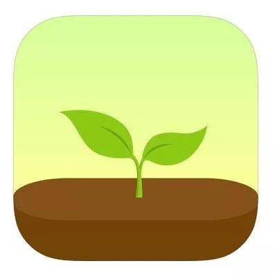 chrome浏览器插件如何使用,chrome插件和油猴插件区别