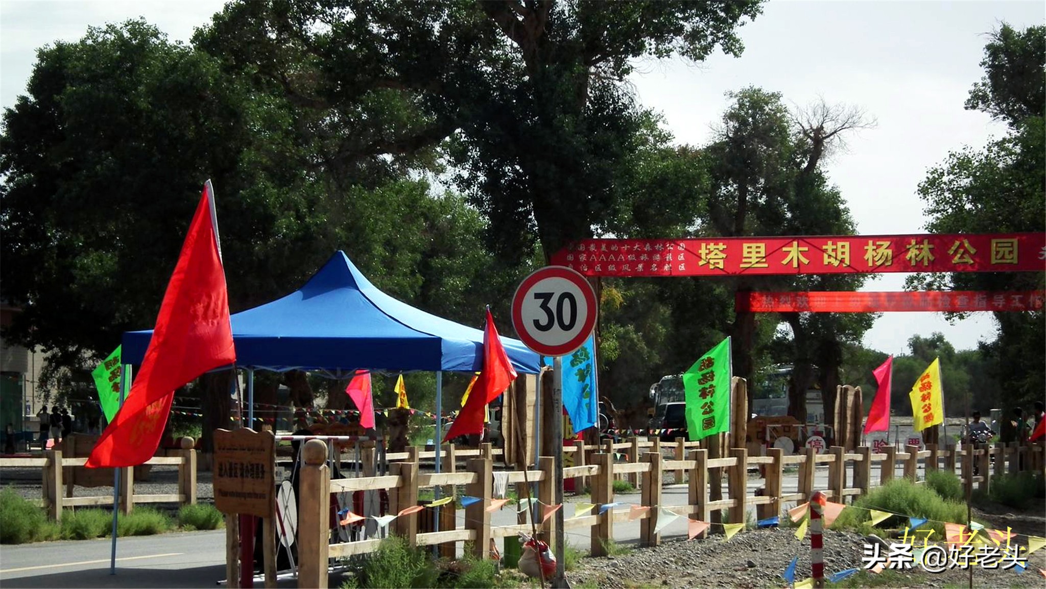 库尔勒轮台胡杨林风景区,胡杨林景区轮台