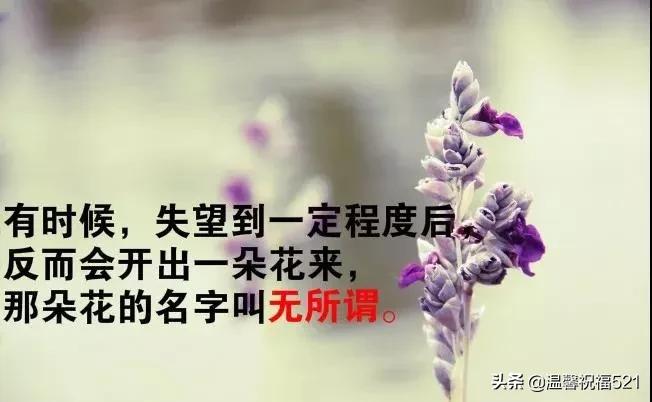 朋友圈触动人心的早安说说,最触动人心的早安句子