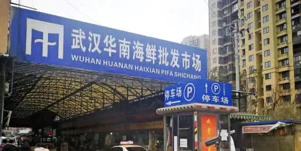 武汉肺炎，本可以不发生的。