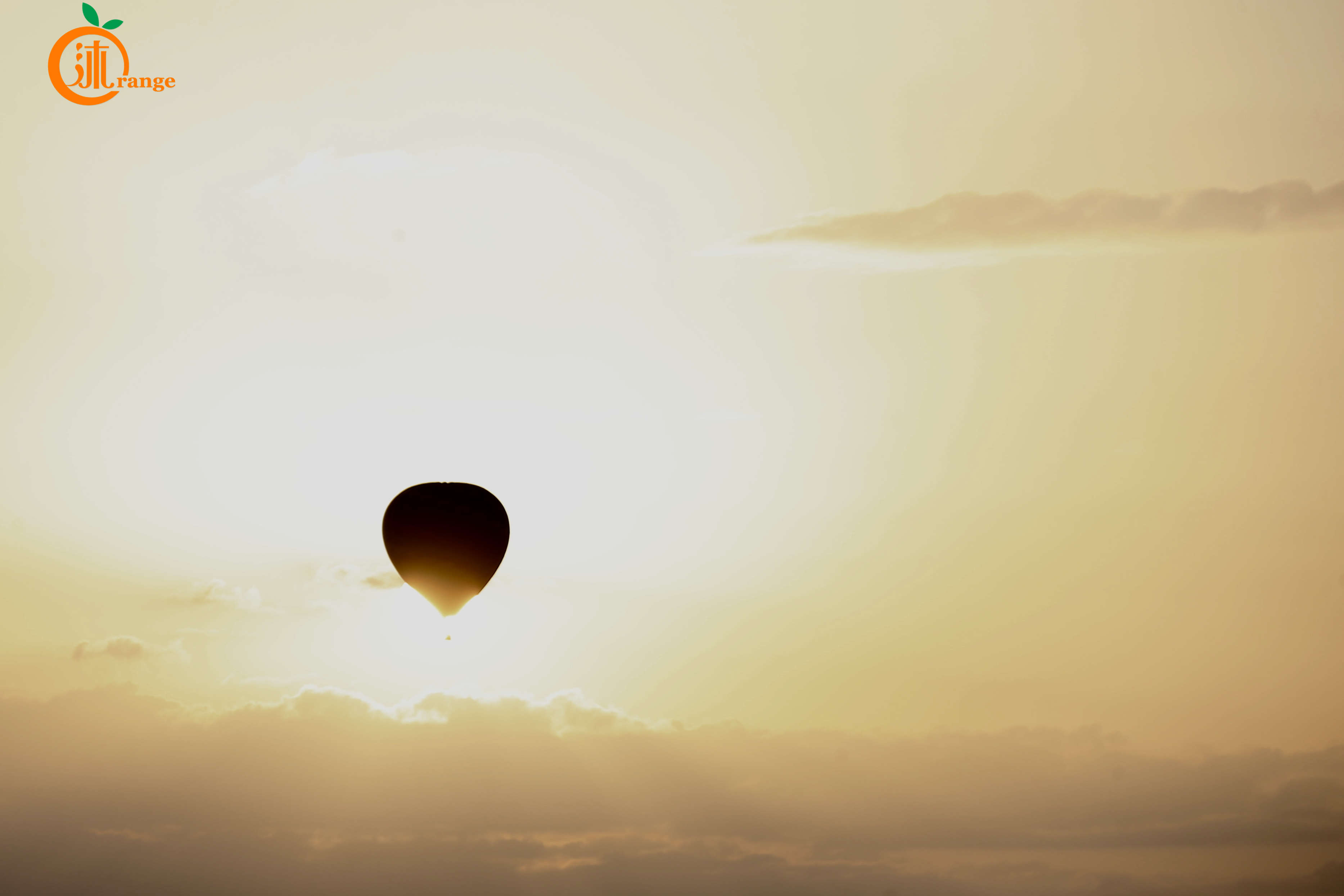 世界上最贵热气球多少钱一个,世界上最贵的热气球多少块钱