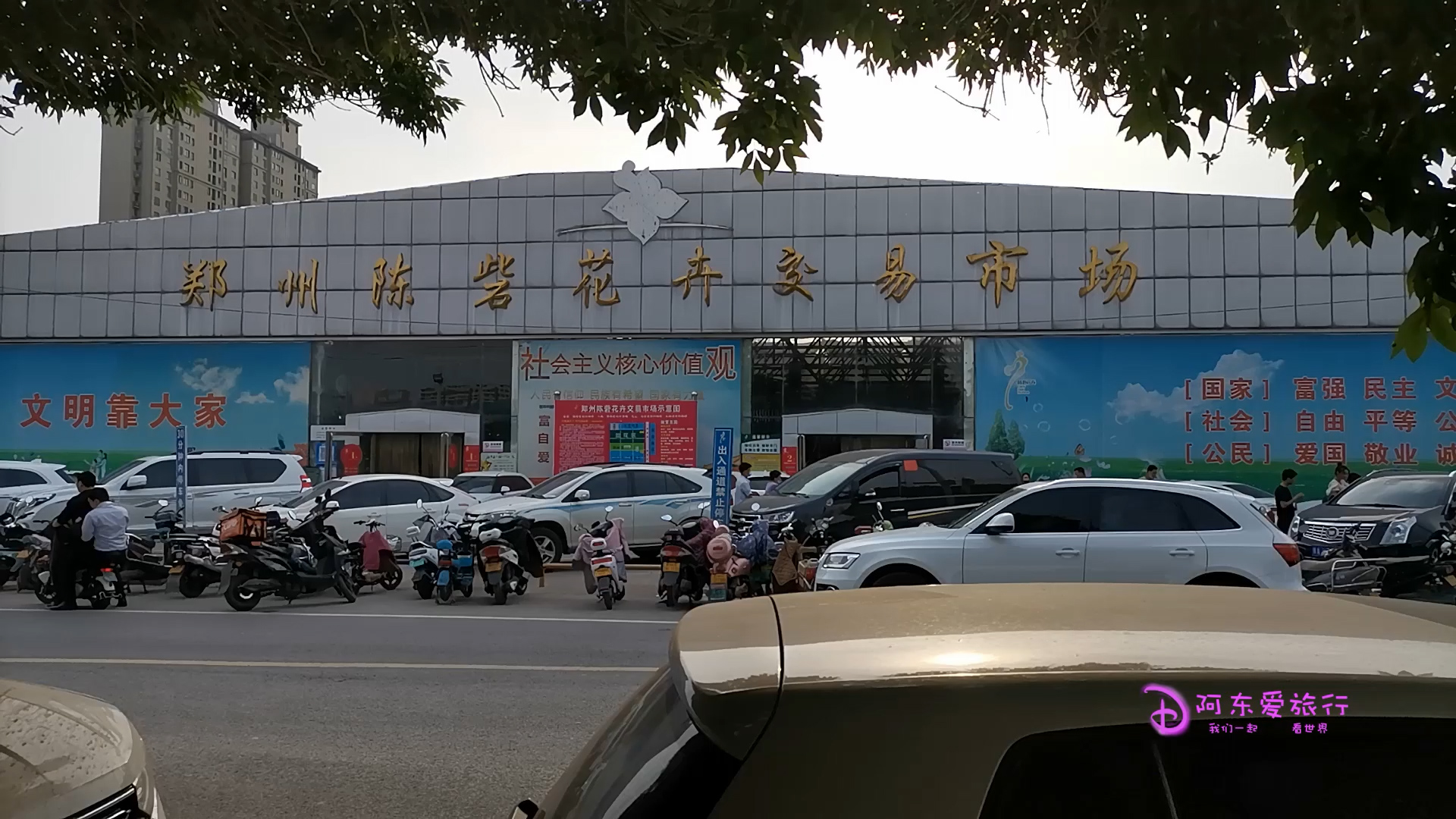 郑州陈砦花卉市场,郑州陈砦双桥花卉市场现状图