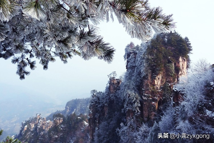 张家界凤凰旅游交通攻略图,湖南长沙张家界凤凰旅游攻略图文