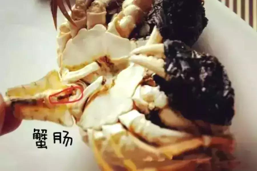金秋蟹吃多了会怎样,毛蟹与哪些食物不能一起吃