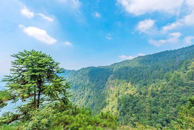 走进十大名山之天目山,松江这五座山你攀登过几处