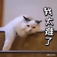 抗糖化最好的食谱,最强抗糖化食物