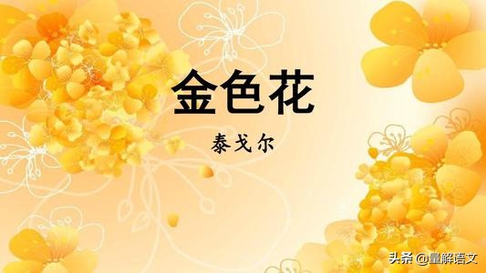 部编七上语文第五单元知识点总结,初中语文七年级上册单元测试b卷