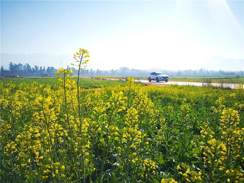瞧！这花花世界谁不爱